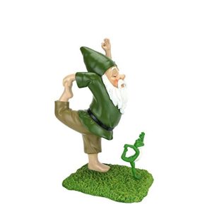 Zen Gnome and Zen Frog – Lord of The Dance Pose
