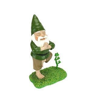 Zen Gnome and Zen Frog – Tree Pose