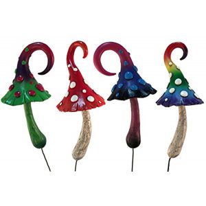 Magical Mushroom Collection – 4 Pack