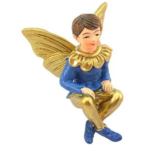 Joshua the Boy Fairy